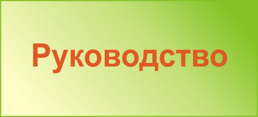 Руководство