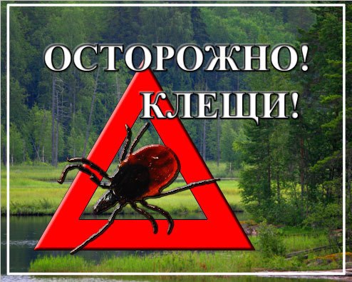 klesh