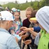 2018-2019 учебный год » Лето 2019 » Квест-экскурсия по Лесной Поляне
