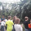 Экскурсия в ботанический сад 2Б